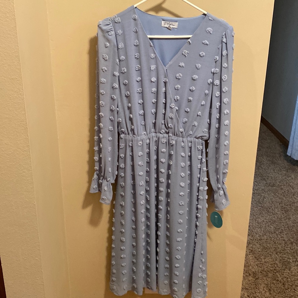Polagram Swiss Dot dress. Dusty Blue. Never worn. Smoke and pet free home